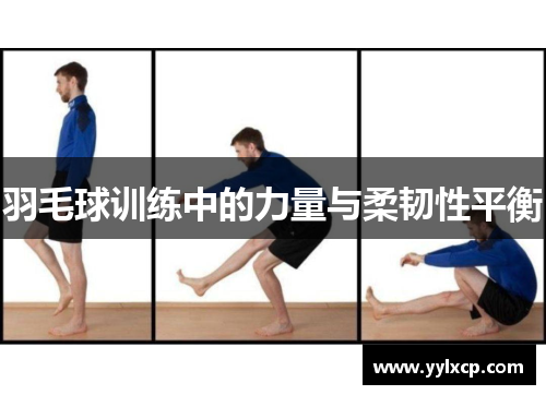 羽毛球训练中的力量与柔韧性平衡