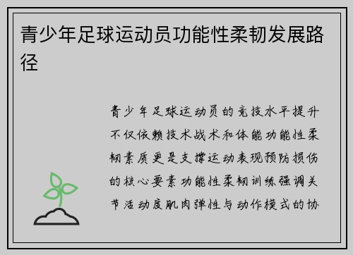 青少年足球运动员功能性柔韧发展路径