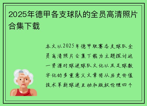 2025年德甲各支球队的全员高清照片合集下载