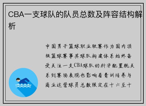CBA一支球队的队员总数及阵容结构解析