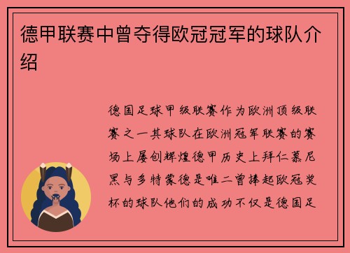 德甲联赛中曾夺得欧冠冠军的球队介绍
