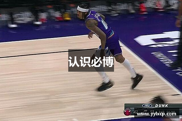 认识必博